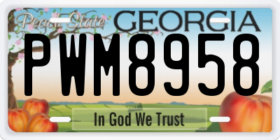 GA license plate PWM8958