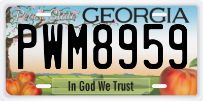 GA license plate PWM8959