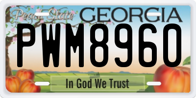 GA license plate PWM8960