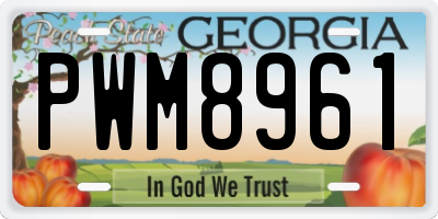 GA license plate PWM8961