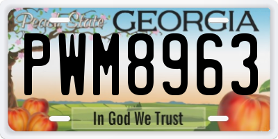GA license plate PWM8963