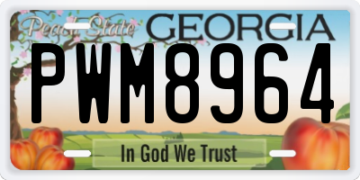 GA license plate PWM8964