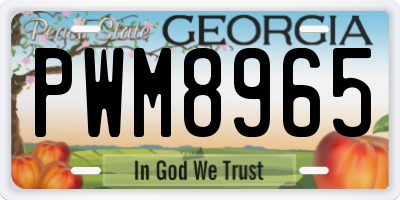 GA license plate PWM8965