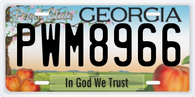 GA license plate PWM8966