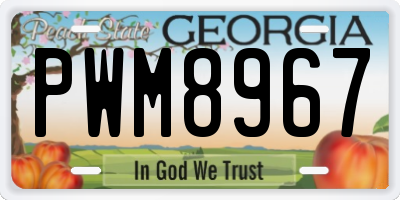 GA license plate PWM8967