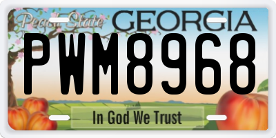 GA license plate PWM8968