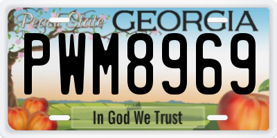GA license plate PWM8969