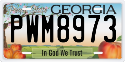 GA license plate PWM8973