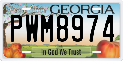 GA license plate PWM8974