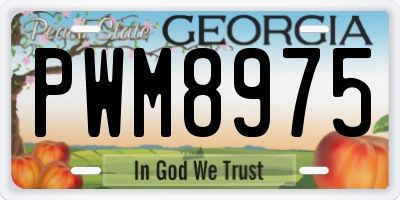 GA license plate PWM8975
