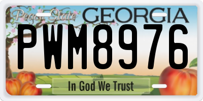 GA license plate PWM8976