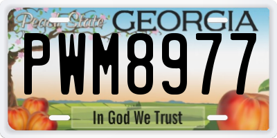 GA license plate PWM8977