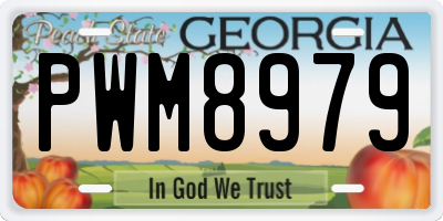 GA license plate PWM8979