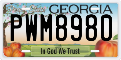 GA license plate PWM8980
