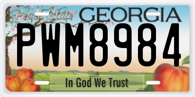 GA license plate PWM8984