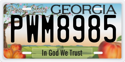 GA license plate PWM8985