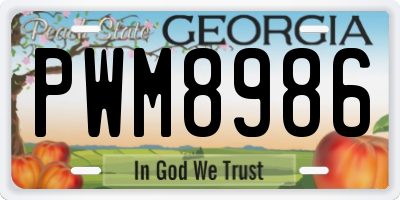 GA license plate PWM8986