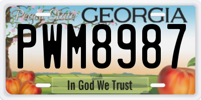 GA license plate PWM8987
