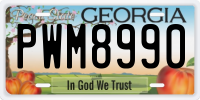 GA license plate PWM8990