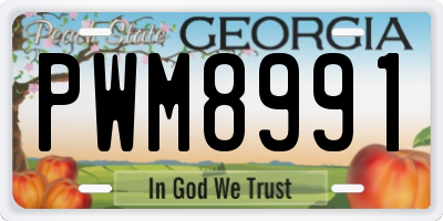 GA license plate PWM8991
