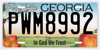 GA license plate PWM8992