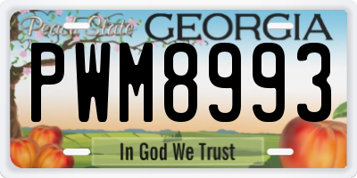 GA license plate PWM8993