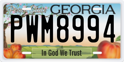 GA license plate PWM8994