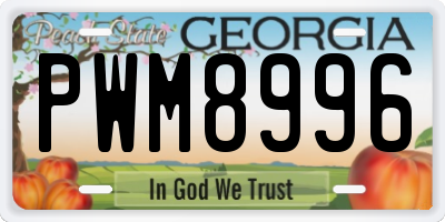 GA license plate PWM8996