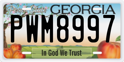 GA license plate PWM8997