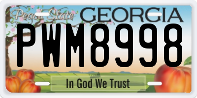 GA license plate PWM8998