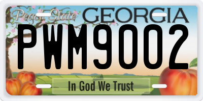 GA license plate PWM9002