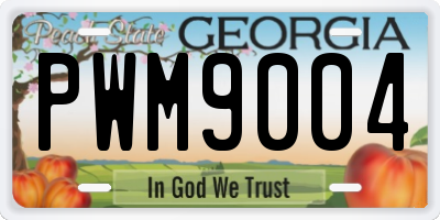 GA license plate PWM9004