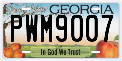 GA license plate PWM9007