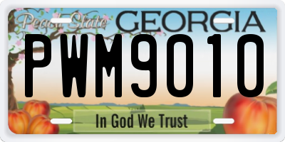 GA license plate PWM9010