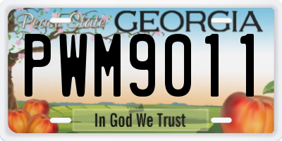 GA license plate PWM9011