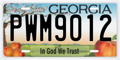 GA license plate PWM9012