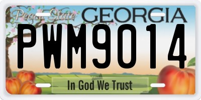 GA license plate PWM9014