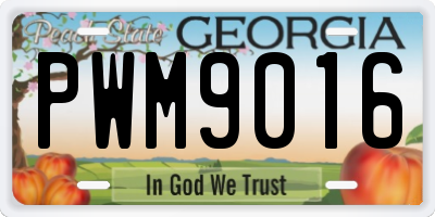 GA license plate PWM9016
