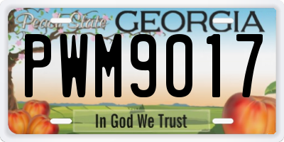 GA license plate PWM9017
