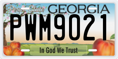 GA license plate PWM9021
