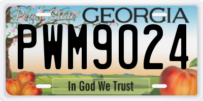 GA license plate PWM9024