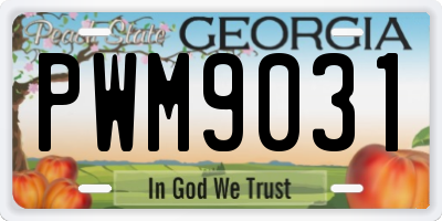 GA license plate PWM9031