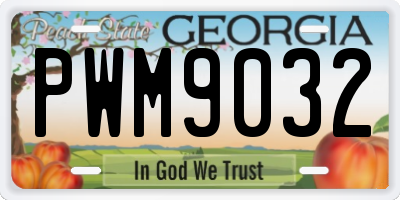 GA license plate PWM9032