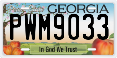GA license plate PWM9033