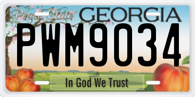 GA license plate PWM9034