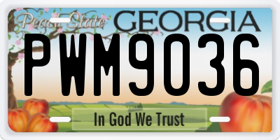 GA license plate PWM9036