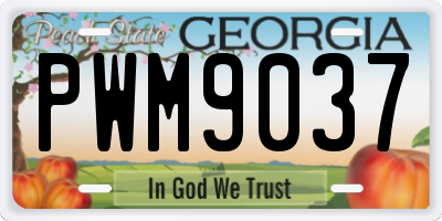 GA license plate PWM9037