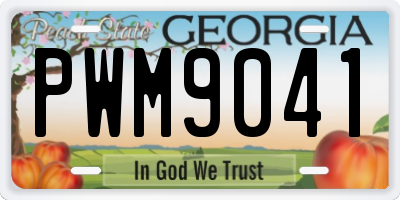 GA license plate PWM9041
