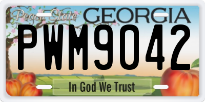 GA license plate PWM9042