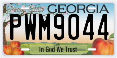 GA license plate PWM9044